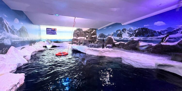 Beeld: Humphrey Nemar e.a.