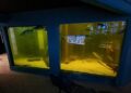 Zeeaquarium op de Waddeneilanden sluit definitief de deuren