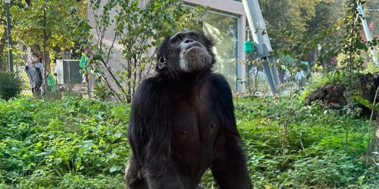 Beeld: Zoo Krefeld, Markus Boers