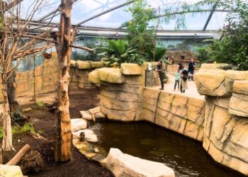 Vliegende vossen losgelaten in een van de nieuwste tropenhallen van Europa