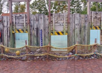 Dolfijnenverblijf in Noord-Hollands dierenpark staat al bijna een jaar leeg