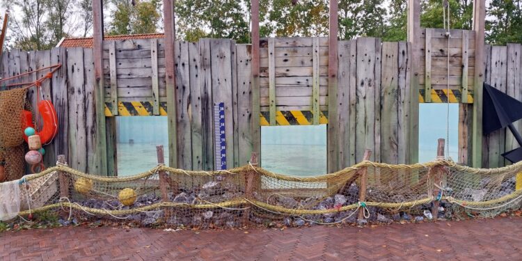 Onderwaterzicht op buitenbassin SOS Dolfijn. Beeld: Elly Bouwens