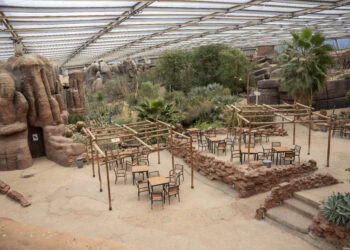 Burgers’ Zoo start verbouwing in woestijnkas: nieuwe dierverblijven en ingang