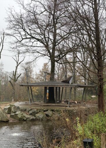 Burgers’ Zoo knapt twee verblijven in Aziatisch parkdeel Rimba op
