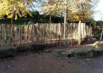 Wandelen tussen wallaby’s opgeschort: Wildlands plaatst hekken in verblijf