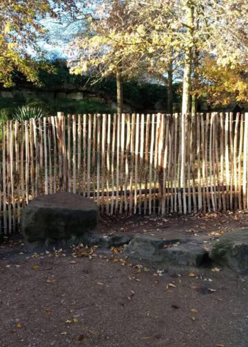 Wandelen tussen wallaby’s opgeschort: Wildlands plaatst hekken in verblijf