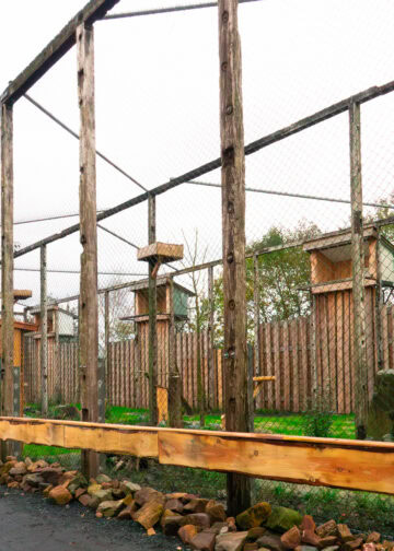 Dierenpark Zie-Zoo opent nieuw verblijf met ‘opruimers van de natuur’