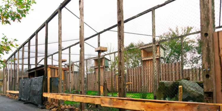 Beeld: Timothy Raymond