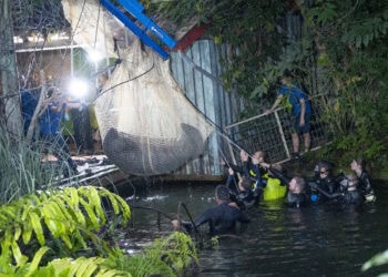 Zeekoe weg uit Burgers’ Zoo, maar niet naar grootste tropenhal ter wereld