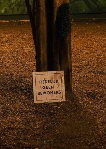 Geen nachtapen meer in Diergaarde Blijdorp: verblijf is gesloopt