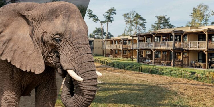 Afbeelding ter illustratie