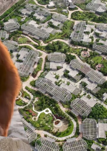 Misstanden rond mensapen in grootste privédierentuin ter wereld