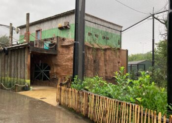 Nieuwe papegaaien in Blijdorp al een jaar niet buiten: gaten in verblijf