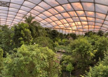 Vermoedelijke vogelgriepuitbraak sluit een van Europa’s grootste tropenhallen