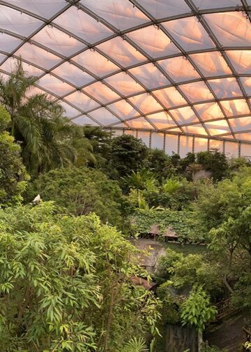 Vermoedelijke vogelgriepuitbraak sluit een van Europa’s grootste tropenhallen