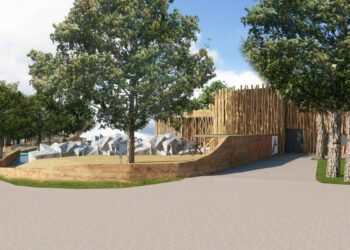 Giraffenverblijf uit 1986 krijgt grondige renovatie én nieuwe diersoorten