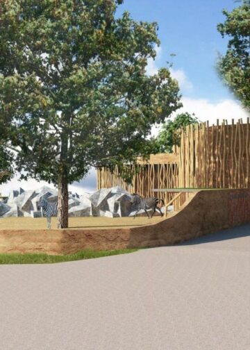 Giraffenverblijf uit 1986 krijgt grondige renovatie én nieuwe diersoorten