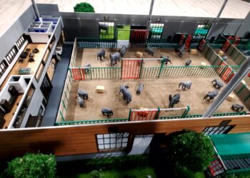 Grootste olifantenverblijf van Europa krijgt gigantische stal: 5,7 miljoen euro