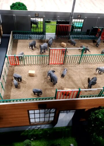 Grootste olifantenverblijf van Europa krijgt gigantische stal: 5,7 miljoen euro