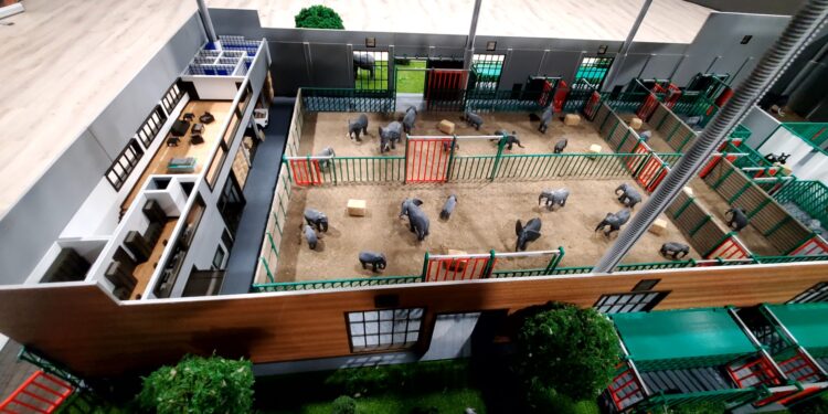 Beeld: Elephant Business Inc