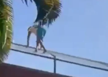 Leeuw doodt man in Braziliaanse dierentuin nadat hij verblijf inklimt