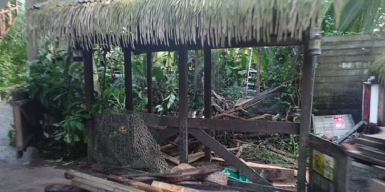 Beeld: Wildlands, Aly Jeuring e.a.