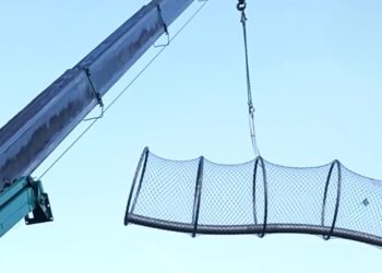 Unieke uitbreiding dierentuinverblijf in Denemarken: 160 meter aan tunnels