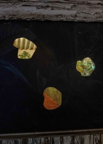 Een van de meest bedreigde diersoorten ter wereld geboren in Diergaarde Blijdorp