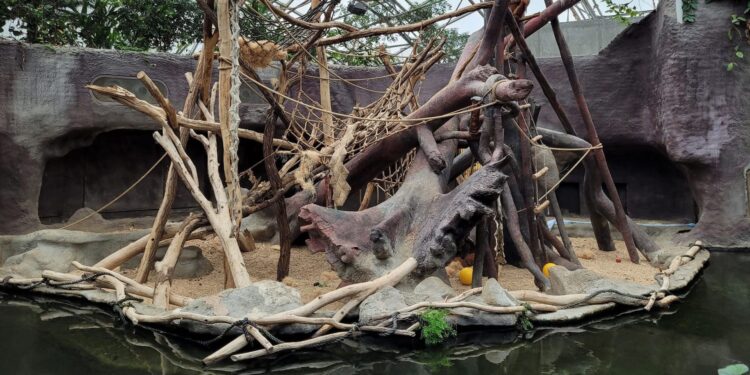 Beeld: Karol Mišovic