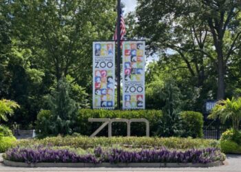 Twee dierverzorgers gebeten door binturong: personeel naar ziekenhuis