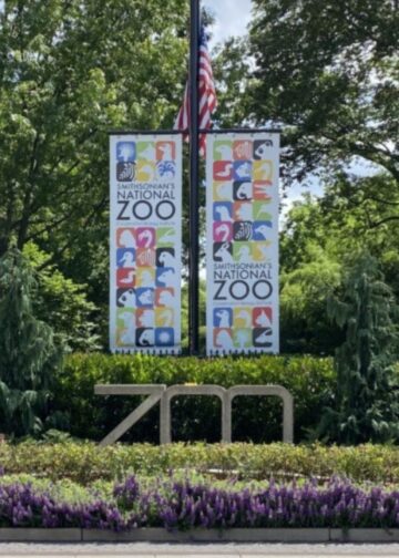 Twee dierverzorgers gebeten door binturong: personeel naar ziekenhuis