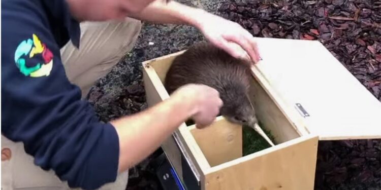 Beeld: Bart Brebels e.a.