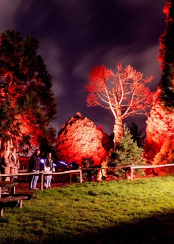 Vernietigende reacties op winterevenement in Diergaarde Blijdorp: ‘Niks te beleven’