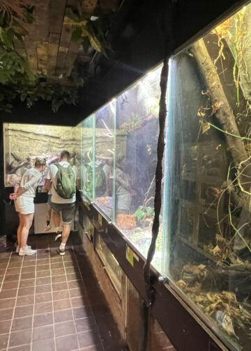 Kleinste dierentuin van Nederland noteert bezoekersrecord