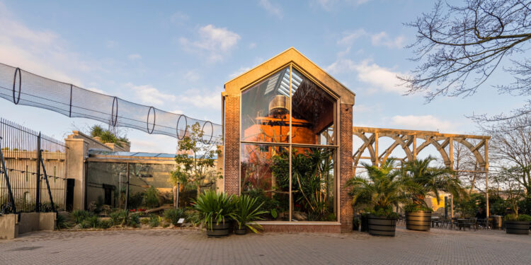 Beeld: Christiaan de Bruijne, Daley van de Sande