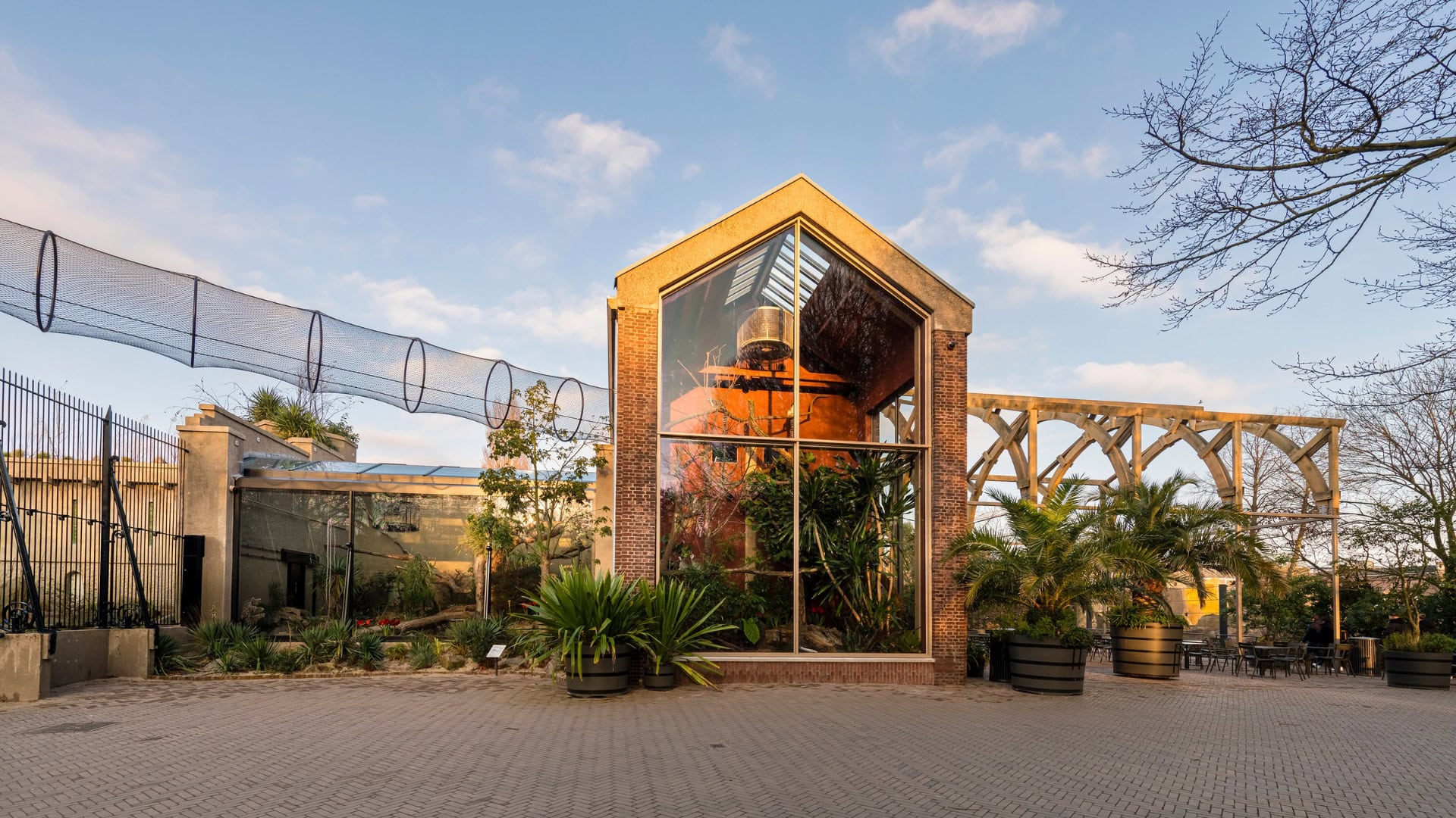 Artis heropent voormalig leeuwenverblijf als Madagaskargebied: drie diersoorten