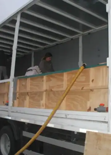 Tien dolfijnen verhuizen uit gesloten dolfinarium naar onbekende locatie in Egypte