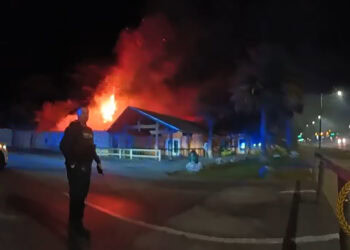 Zes halfapen stikken in dierentuin door brand, twee binturongs gered