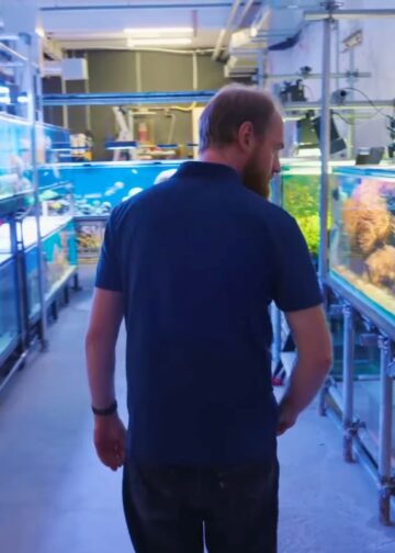 Artis legt uit: komen de vissen in het vernieuwde aquarium uit het wild?