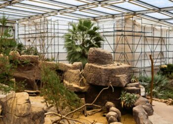 Burgers’ Zoo geeft kijkje bij bouwproject tijdens dierentuinevenement