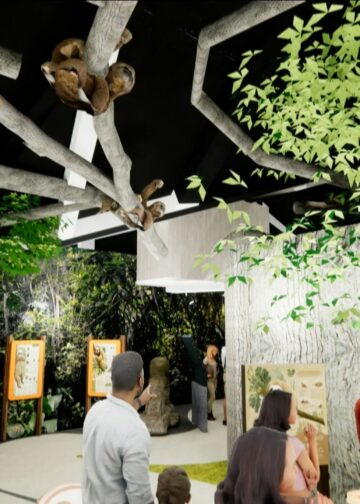 Deze nieuwe dierentuin draait maar om één diersoort: luiaards