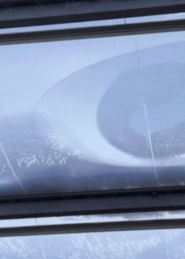 Lekkages door sneeuw in woestijnkas Burgers’ Zoo, personeel massaal het dak op