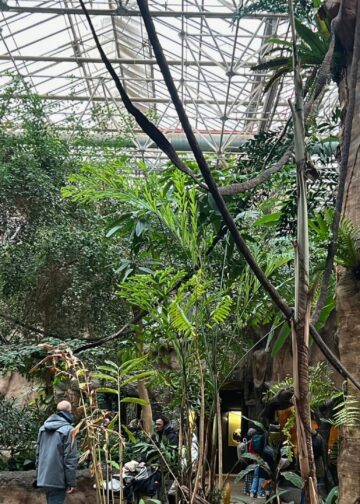 Veranderingen aan verblijven en drie grote projecten: dit bouwt Blijdorp in 2026