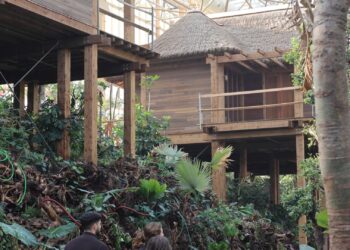 Pairi Daiza maakt openingsdatum 4 hectare grote tropische kas bekend