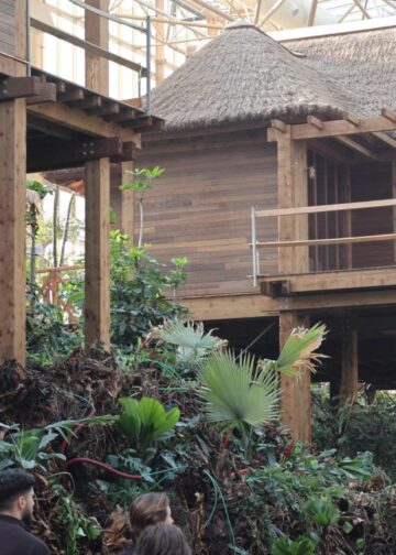 Pairi Daiza maakt openingsdatum 4 hectare grote tropische kas bekend