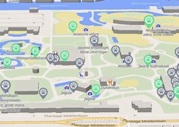 Nederlandse dierentuin-app nu te downloaden: ZooTrack