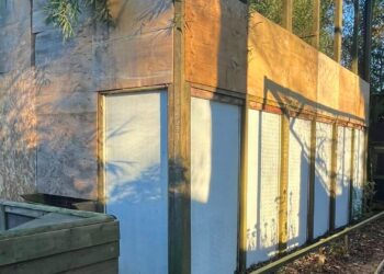 Gelders dierenpark timmert verblijven dicht: ‘Moet van de overheid’