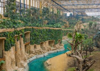 Pairi Daiza gaat extra entreegeld vragen voor tropische kas Edenya