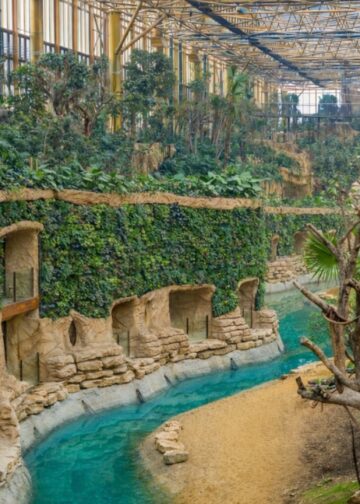 Pairi Daiza gaat extra entreegeld vragen voor tropische kas Edenya