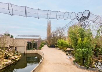 Artis ziet minieme daling in bezoekersaantal, positie in top drie blijft